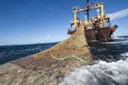 Milei propone el fin de la Zona Económica Exclusiva en el Mar Argentino